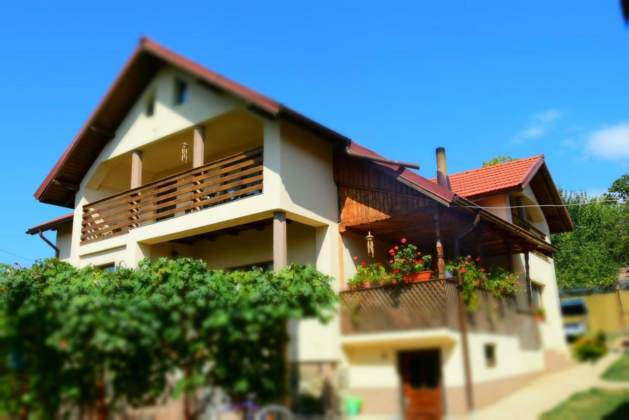 Casa Smeilor Horezu Extérieur photo