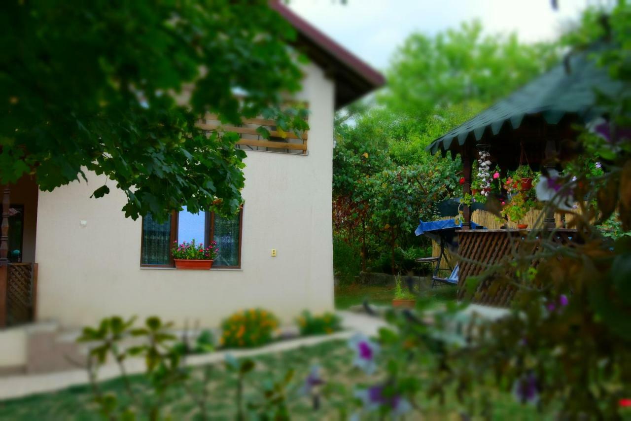 Casa Smeilor Horezu Extérieur photo